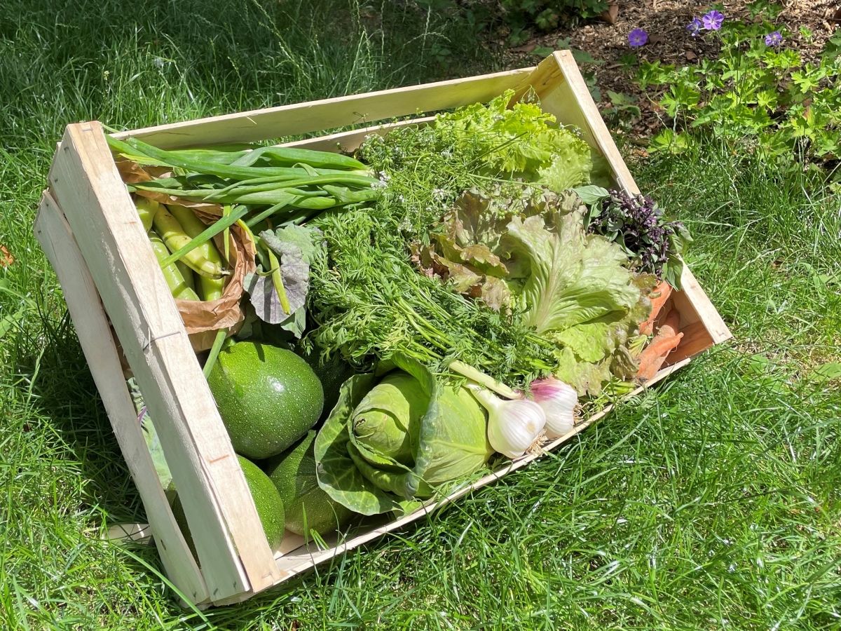 Panier Bio de Nonville
